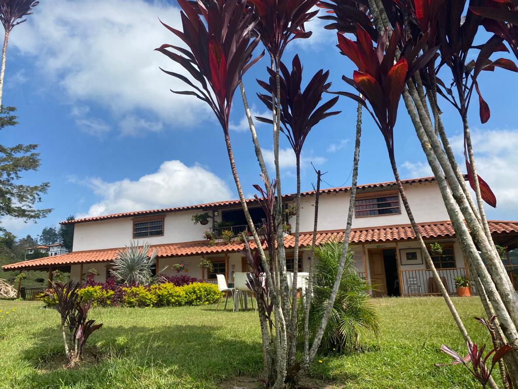 Casa de dos pisos con techo de teja, detrás de plantas de hojas rojizas y un prado verde
