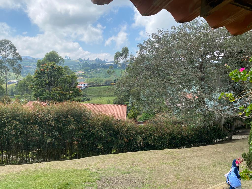 Vista desde el corredor hacia las colinas, un seto verde y tejados cercanos
