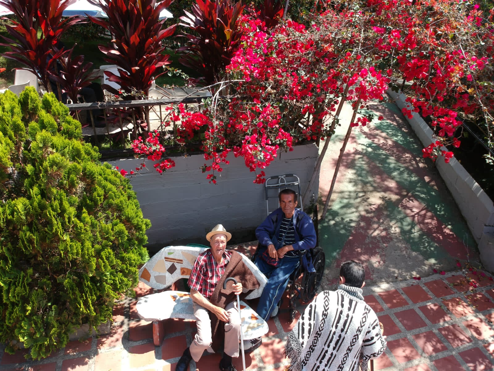 Adultos mayores sentados en una banca del jardín bajo una enredadera de flores rojas