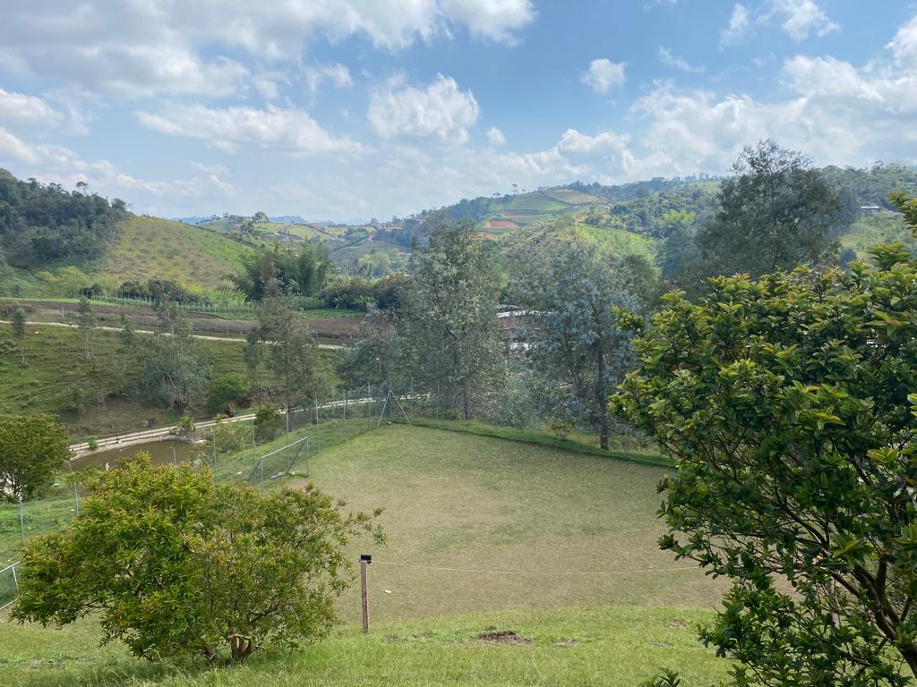 Terreno verde cercado, con árboles y vista a las montañas