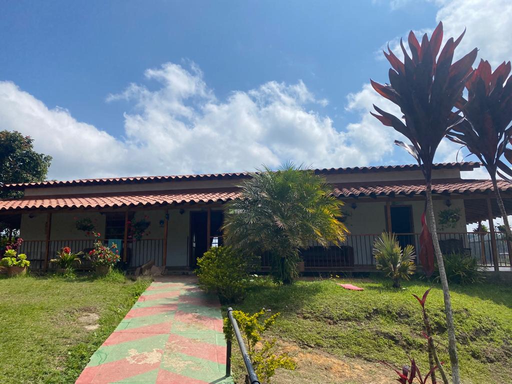 Fachada de una casa de una planta con corredor, palmas y un camino de baldosas de colores